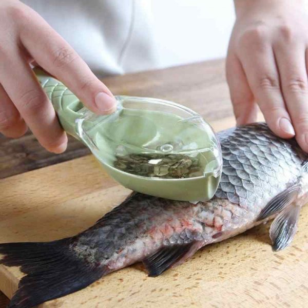 Fish scale remover – Uređaj za čišćenje krljušti ribe