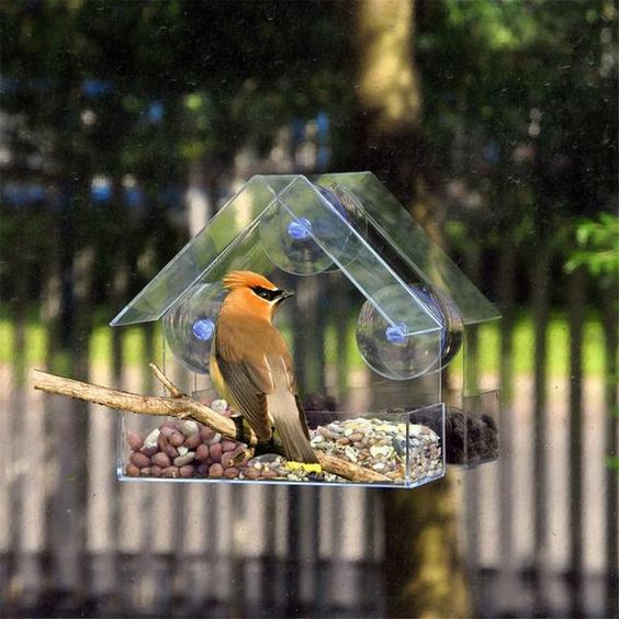 Birdbox – Prozirna kućica za ptice 03