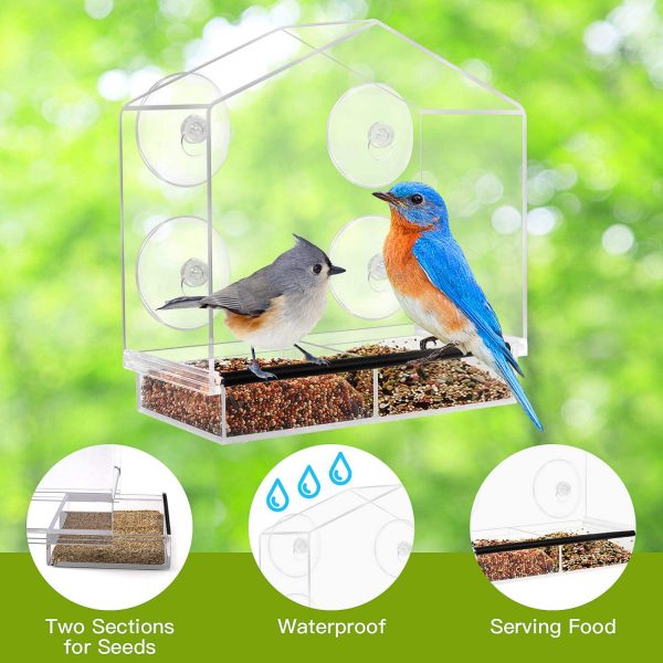 Birdbox – Prozirna kućica za ptice
