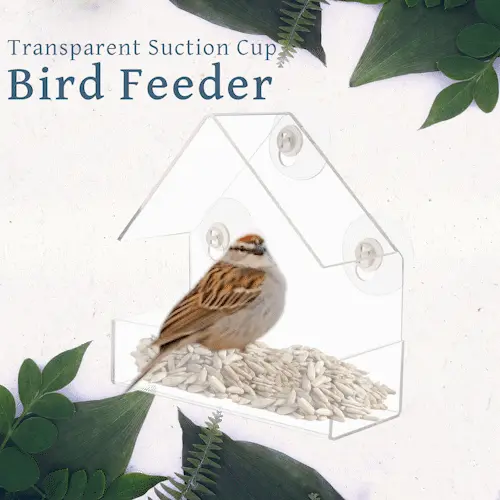 Birdbox – Prozirna kućica za ptice 02